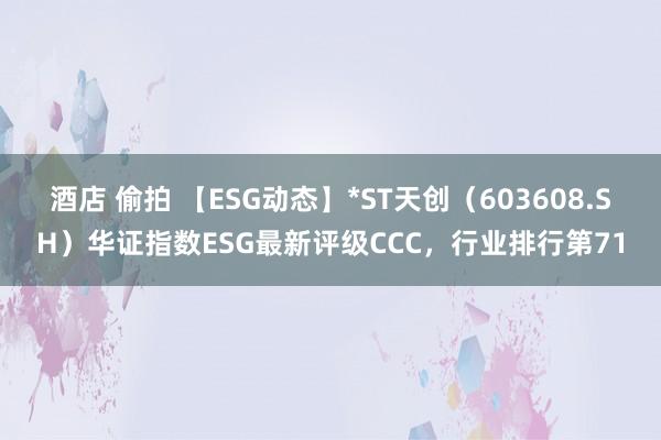 酒店 偷拍 【ESG动态】*ST天创（603608.SH）华证指数ESG最新评级CCC，行业排行第71