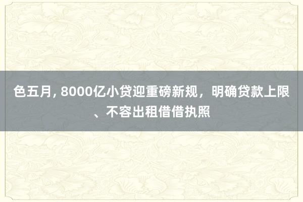 色五月， 8000亿小贷迎重磅新规，明确贷款上限、不容出租借借执照