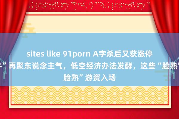 sites like 91porn A字杀后又获涨停！“翻倍牛”再聚东说念主气，低空经济办法发酵，这些“脸熟”游资入场