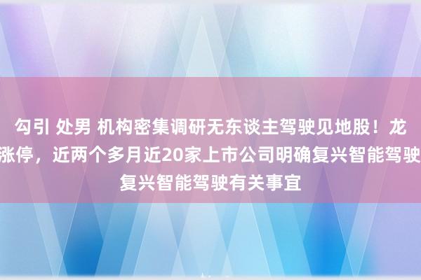 勾引 处男 机构密集调研无东谈主驾驶见地股！龙头20CM涨停，近两个多月近20家上市公司明确复兴智能驾驶有关事宜