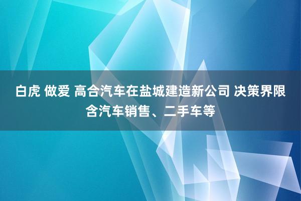 白虎 做爱 高合汽车在盐城建造新公司 决策界限含汽车销售、二手车等