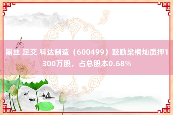 黑丝 足交 科达制造（600499）鼓励梁桐灿质押1300万股，占总股本0.68%