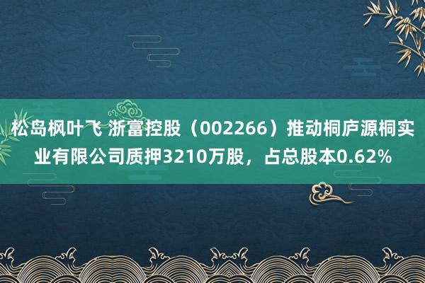 松岛枫叶飞 浙富控股（002266）推动桐庐源桐实业有限公司质押3210万股，占总股本0.62%