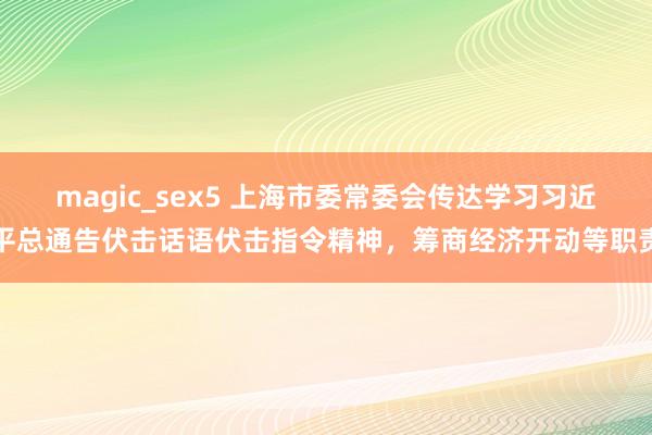 magic_sex5 上海市委常委会传达学习习近平总通告伏击话语伏击指令精神，筹商经济开动等职责