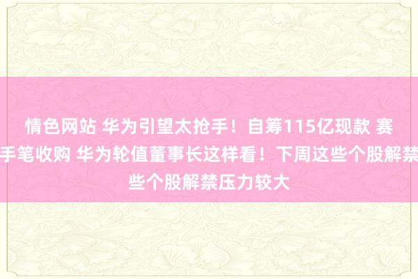 情色网站 华为引望太抢手！自筹115亿现款 赛力斯拟大手笔收购 华为轮值董事长这样看！下周这些个股解禁压力较大