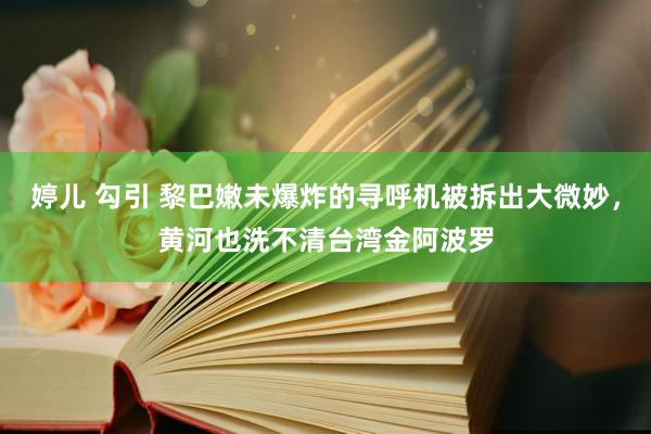 婷儿 勾引 黎巴嫩未爆炸的寻呼机被拆出大微妙，黄河也洗不清台湾金阿波罗