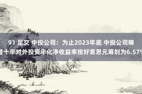 91 足交 中投公司：为止2023年底 中投公司畴昔十年对外投资年化净收益率按好意思元筹划为6.57%