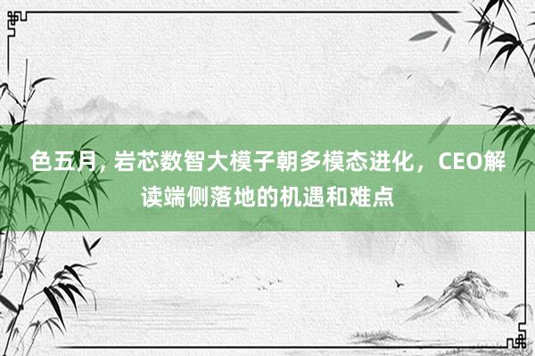 色五月， 岩芯数智大模子朝多模态进化，CEO解读端侧落地的机遇和难点