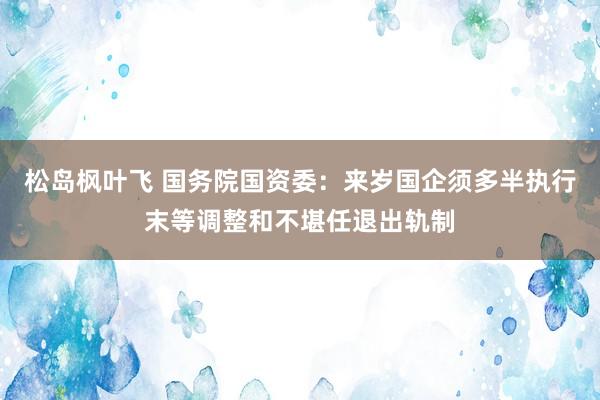 松岛枫叶飞 国务院国资委：来岁国企须多半执行末等调整和不堪任退出轨制