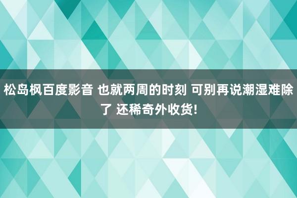 松岛枫百度影音 也就两周的时刻 可别再说潮湿难除了 还稀奇外收货!