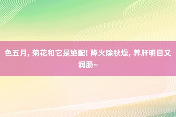 色五月， 菊花和它是绝配! 降火除秋燥， 养肝明目又润肠~