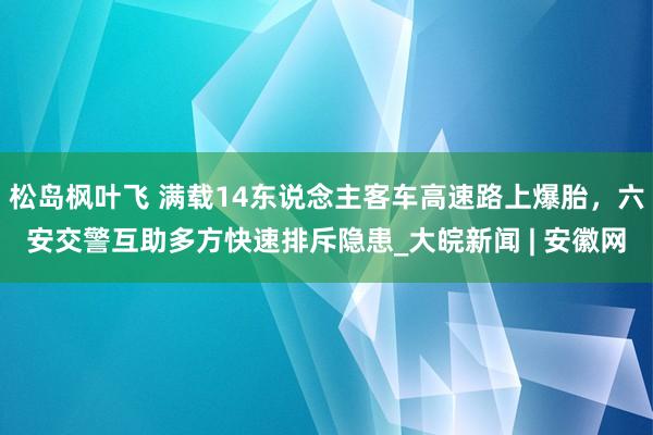 松岛枫叶飞 满载14东说念主客车高速路上爆胎，六安交警互助多方快速排斥隐患_大皖新闻 | 安徽网