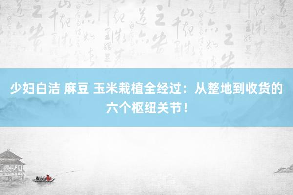 少妇白洁 麻豆 玉米栽植全经过：从整地到收货的六个枢纽关节！