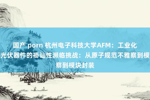 国产 porn 杭州电子科技大学AFM：工业化钙钛矿光伏器件的褂讪性濒临挑战：从原子规范不雅察到模块封装