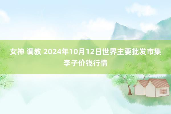 女神 调教 2024年10月12日世界主要批发市集李子价钱行情