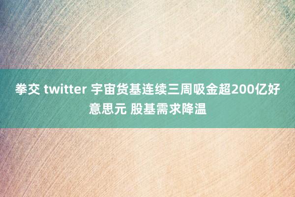 拳交 twitter 宇宙货基连续三周吸金超200亿好意思元 股基需求降温