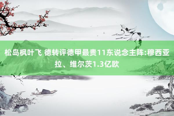 松岛枫叶飞 德转评德甲最贵11东说念主阵:穆西亚拉、维尔茨1.3亿欧