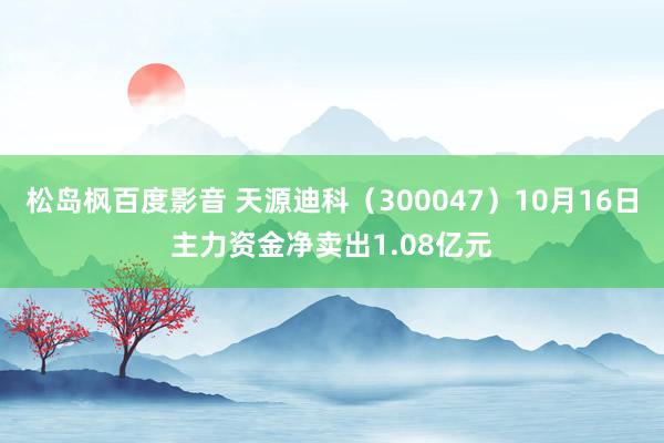 松岛枫百度影音 天源迪科（300047）10月16日主力资金净卖出1.08亿元