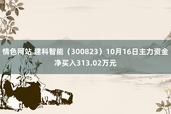 情色网站 建科智能（300823）10月16日主力资金净买入313.02万元