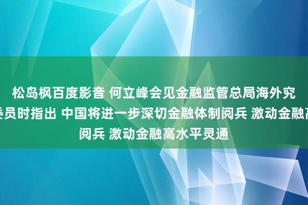 松岛枫百度影音 何立峰会见金融监管总局海外究诘委员会委员时指出 中国将进一步深切金融体制阅兵 激动金融高水平灵通