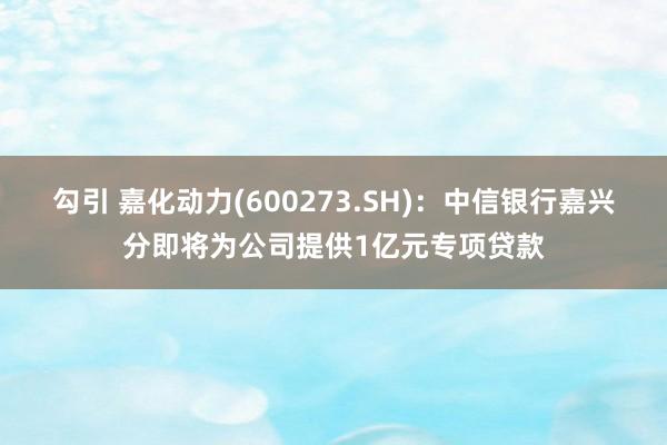 勾引 嘉化动力(600273.SH)：中信银行嘉兴分即将为公司提供1亿元专项贷款