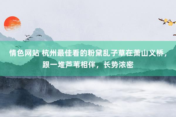 情色网站 杭州最佳看的粉黛乱子草在萧山义桥，跟一堆芦苇相伴，长势浓密