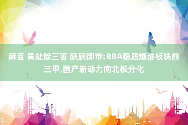 麻豆 周处除三害 跃跃御市:BBA稳居燃油板块前三甲，国产新动力南北极分化