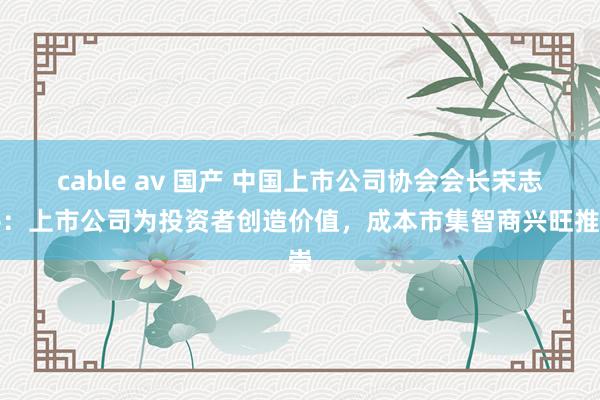 cable av 国产 中国上市公司协会会长宋志平：上市公司为投资者创造价值，成本市集智商兴旺推崇