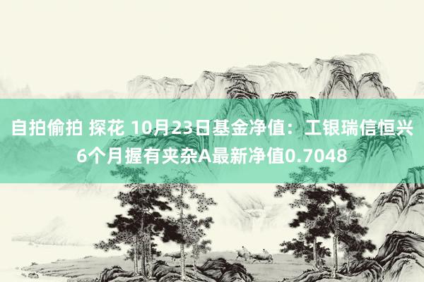 自拍偷拍 探花 10月23日基金净值：工银瑞信恒兴6个月握有夹杂A最新净值0.7048