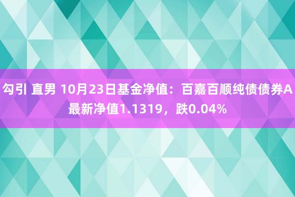 勾引 直男 10月23日基金净值：百嘉百顺纯债债券A最新净值1.1319，跌0.04%