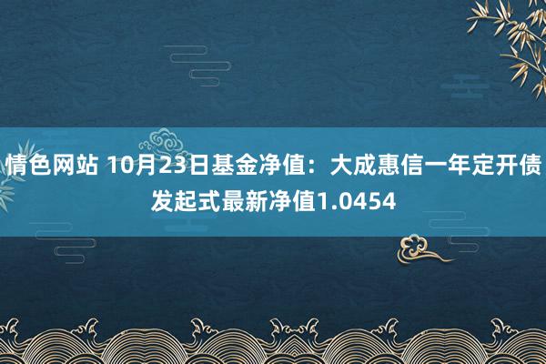 情色网站 10月23日基金净值：大成惠信一年定开债发起式最新净值1.0454