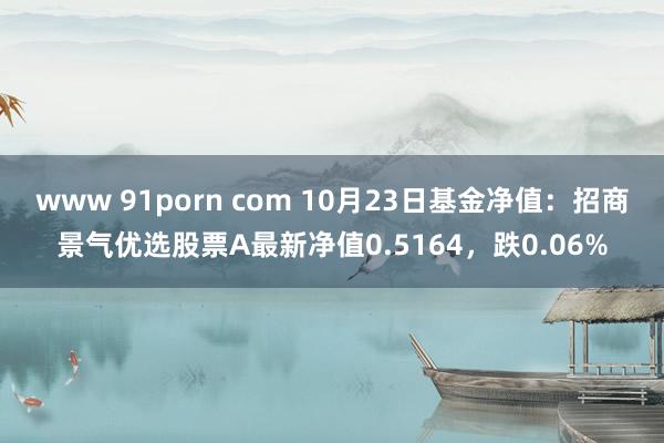 www 91porn com 10月23日基金净值：招商景气优选股票A最新净值0.5164，跌0.06%