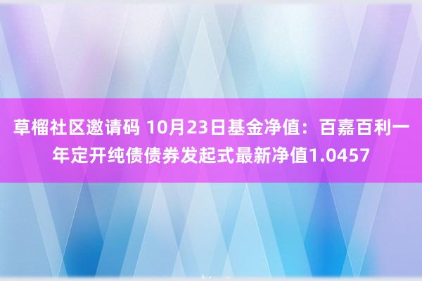 草榴社区邀请码 10月23日基金净值：百嘉百利一年定开纯债债券发起式最新净值1.0457