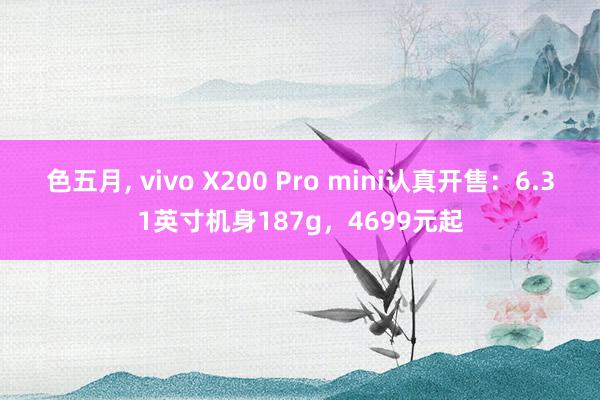 色五月， vivo X200 Pro mini认真开售：6.31英寸机身187g，4699元起