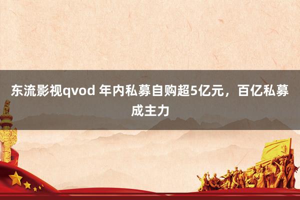 东流影视qvod 年内私募自购超5亿元，百亿私募成主力