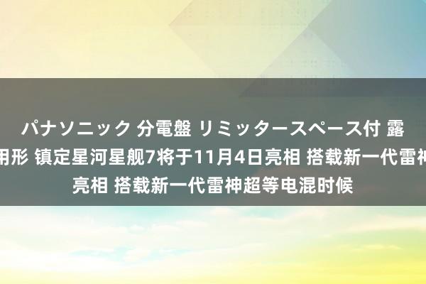 パナソニック 分電盤 リミッタースペース付 露出・半埋込両用形 镇定星河星舰7将于11月4日亮相 搭载新一代雷神超等电混时候