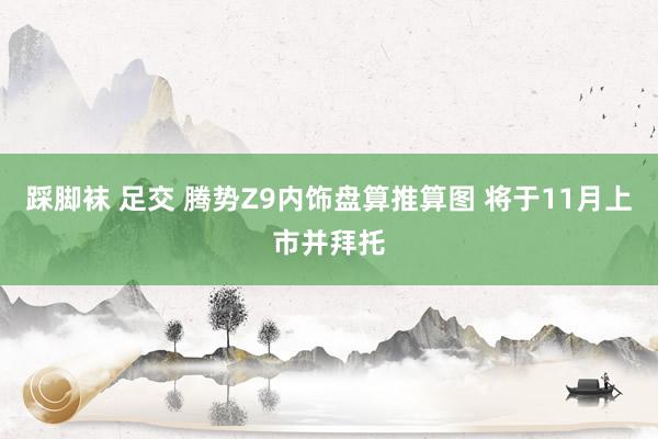 踩脚袜 足交 腾势Z9内饰盘算推算图 将于11月上市并拜托