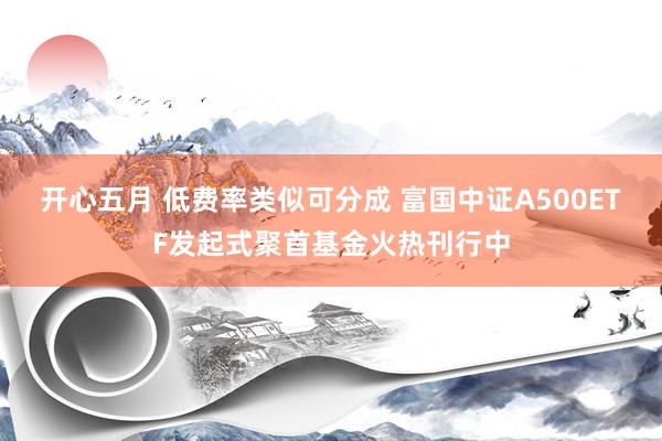 开心五月 低费率类似可分成 富国中证A500ETF发起式聚首基金火热刊行中