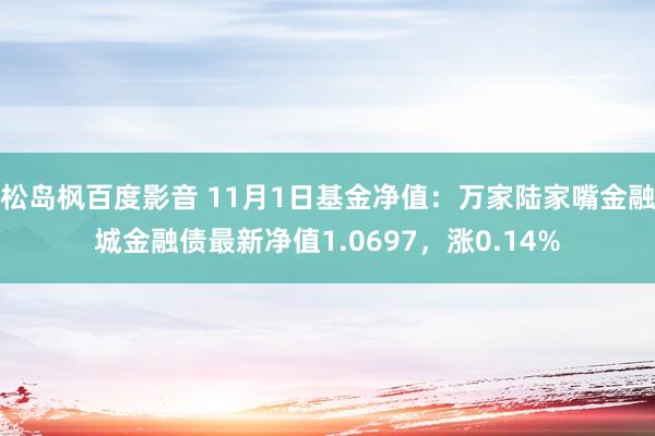 松岛枫百度影音 11月1日基金净值：万家陆家嘴金融城金融债最新净值1.0697，涨0.14%