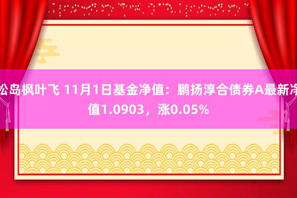 松岛枫叶飞 11月1日基金净值：鹏扬淳合债券A最新净值1.0903，涨0.05%