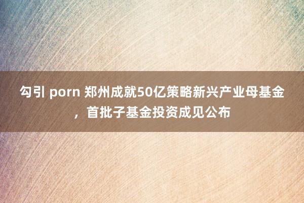 勾引 porn 郑州成就50亿策略新兴产业母基金，首批子基金投资成见公布