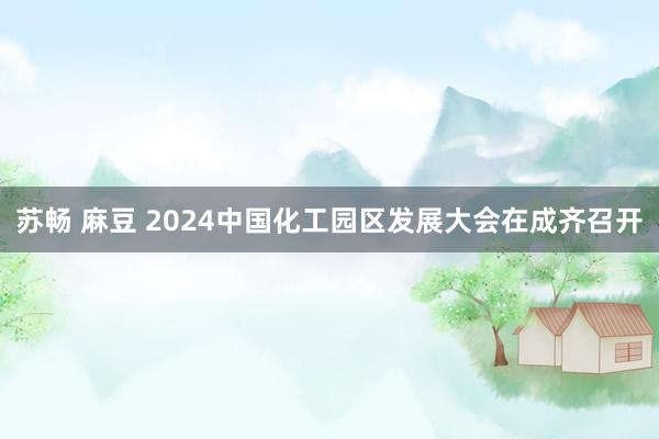 苏畅 麻豆 2024中国化工园区发展大会在成齐召开