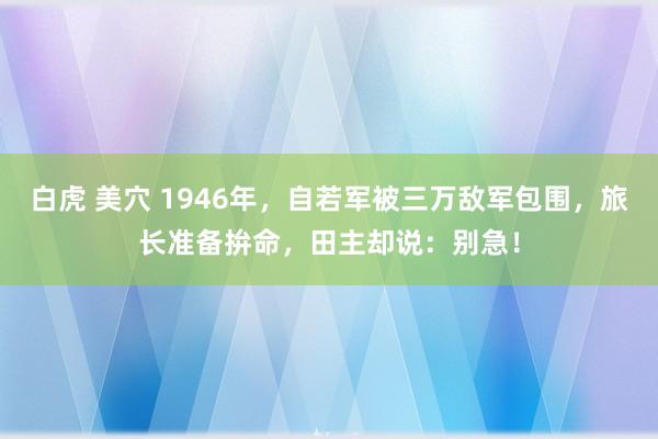 白虎 美穴 1946年，自若军被三万敌军包围，旅长准备拚命，田主却说：别急！