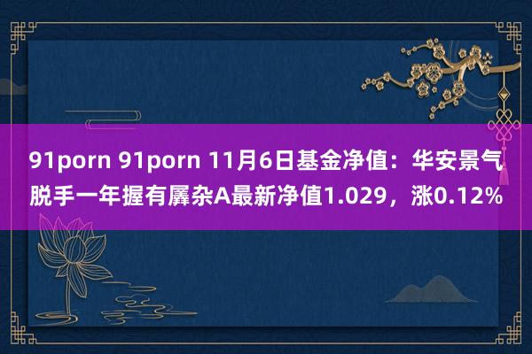 91porn 91porn 11月6日基金净值：华安景气脱手一年握有羼杂A最新净值1.029，涨0.12%