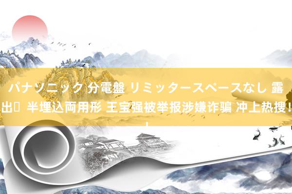 パナソニック 分電盤 リミッタースペースなし 露出・半埋込両用形 王宝强被举报涉嫌诈骗 冲上热搜！