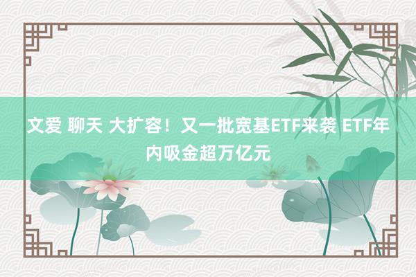 文爱 聊天 大扩容！又一批宽基ETF来袭 ETF年内吸金超万亿元