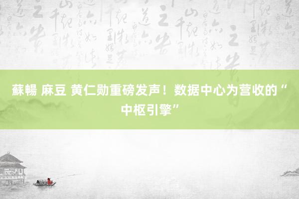 蘇暢 麻豆 黄仁勋重磅发声！数据中心为营收的“中枢引擎”