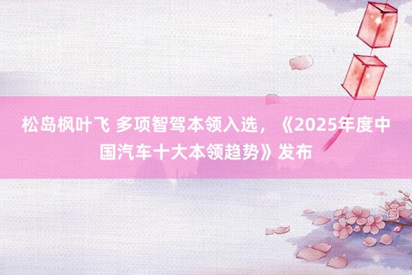 松岛枫叶飞 多项智驾本领入选，《2025年度中国汽车十大本领趋势》发布