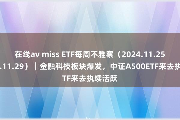 在线av miss ETF每周不雅察（2024.11.25—2024.11.29）｜金融科技板块爆发，中证A500ETF来去执续活跃