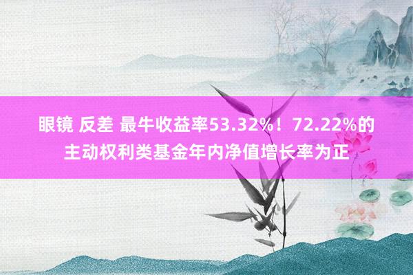 眼镜 反差 最牛收益率53.32%！72.22%的主动权利类基金年内净值增长率为正